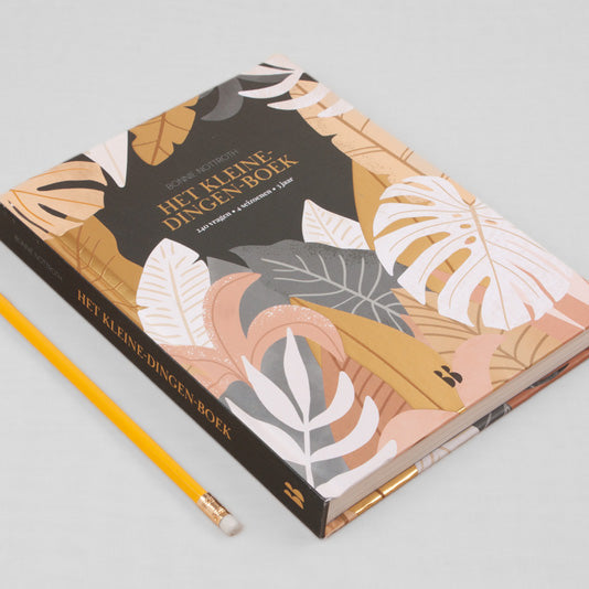 Het kleine-dingen-boek